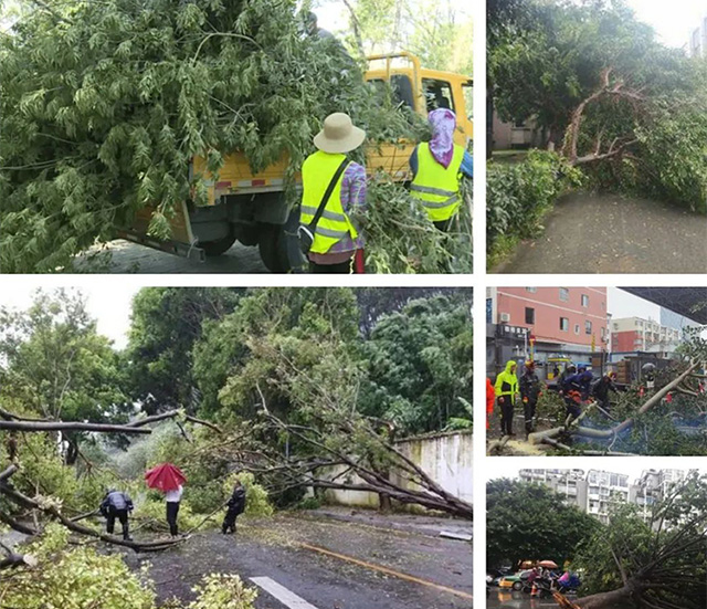 【特别报道】迎“风”而碎!破碎清运高手北上驰援,参战