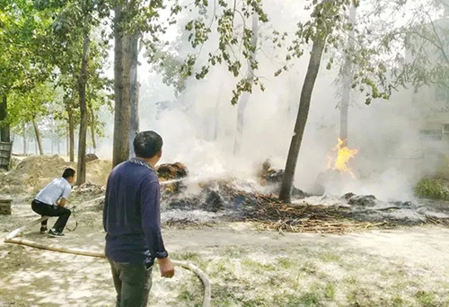 春夏来临，看我大展身手