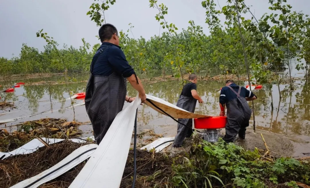 2025020516053035.jpg 5.webp.jpg