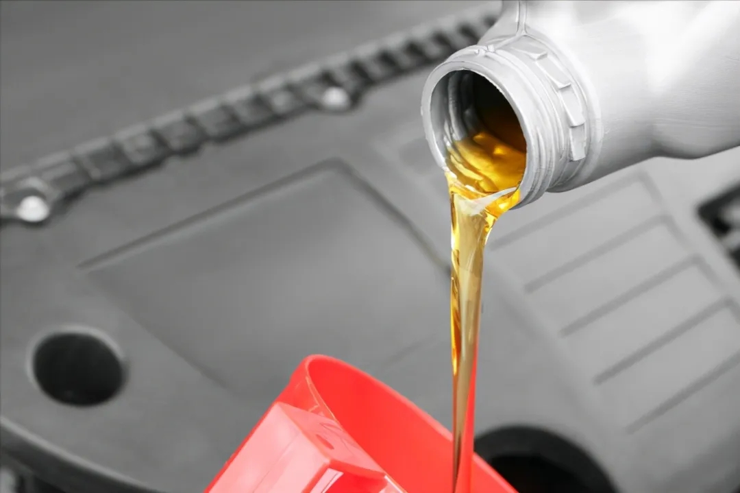 2025020615810933.jpg 1.webp.jpg